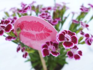Pink Kisses