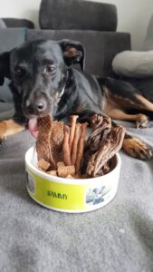 Hunde Leckerlies