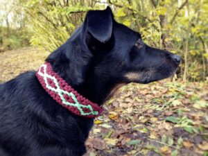 Flechthalsband Hundehalsband