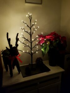 Salcar Lichterbaum