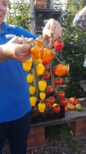 Kiepenkerl Gartenblogger Treffen