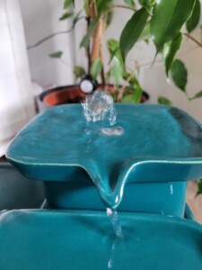 Miaustore Katzenbrunnen