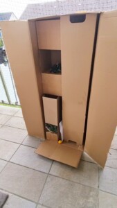 Bloomify Online Pflanzen kaufen