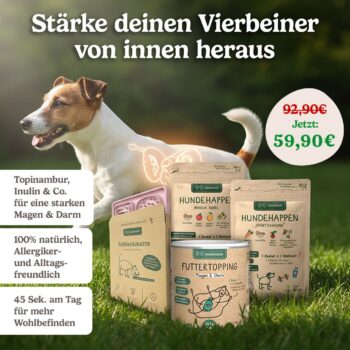 Hunderunde Magen & Darm-Set